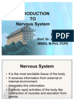 Nervous System C 45