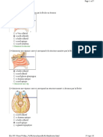 Y3 - TP Anatomie - Dr. Kong Vuthy (Nerfs de La Tête Et Cou) Q18 15-16