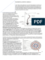 Developmental Genetics