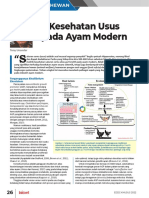 Infovet Edisi Khusus Indolivestock 2022