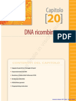 DNA Ricombinante Book