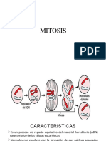 Mitosis