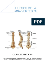 Los Huesos de La Columna Vertebral