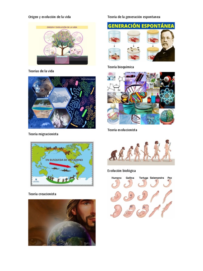 Teoras Del Origen Y Evolucin De La Vida Timeline 768x932