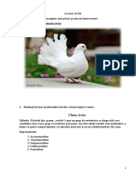 Activitate Practică Clasa Aves - Manea Olga - EC11R