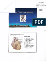 tugas praktikum II anatomi - nabila kelas C NPM 2208260249