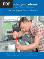 moe LSSGB BOK ThirdEdition2017 | PDF | Lean Manufacturing