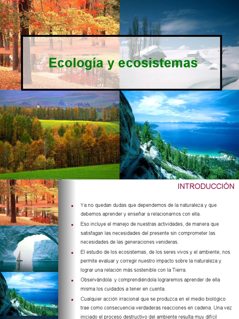 Ecologia y Ecosistema | PDF | Ecología | Entorno natural