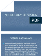 Basics Neurology of Vision