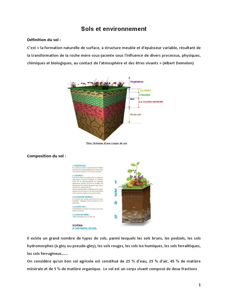 Oxygèneo et la formation des sols | PDF | Sol (pédologie) | Argile