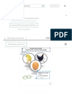COQUELETS - PDF - Alimentation Animale - Maïs