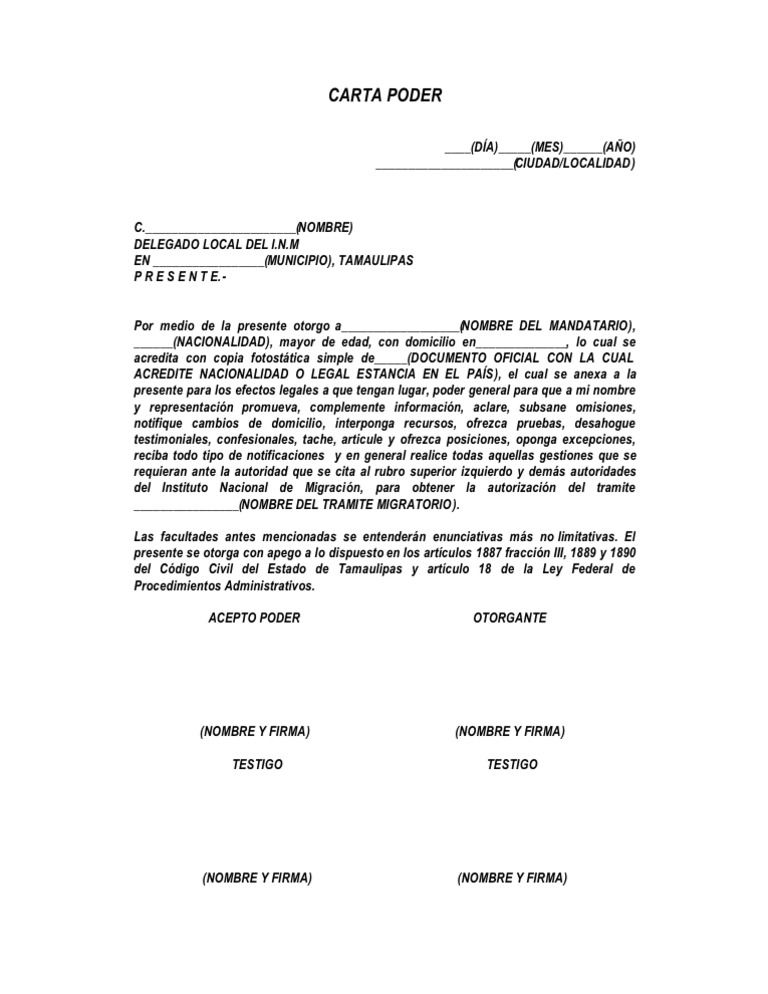 CARTA PODER Ejemplo PDF