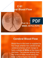 C 61 Cerebral Blood Flow