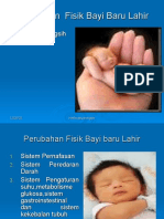 Perubahan Fisik BBL