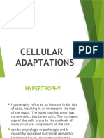 Cellular Adaptations