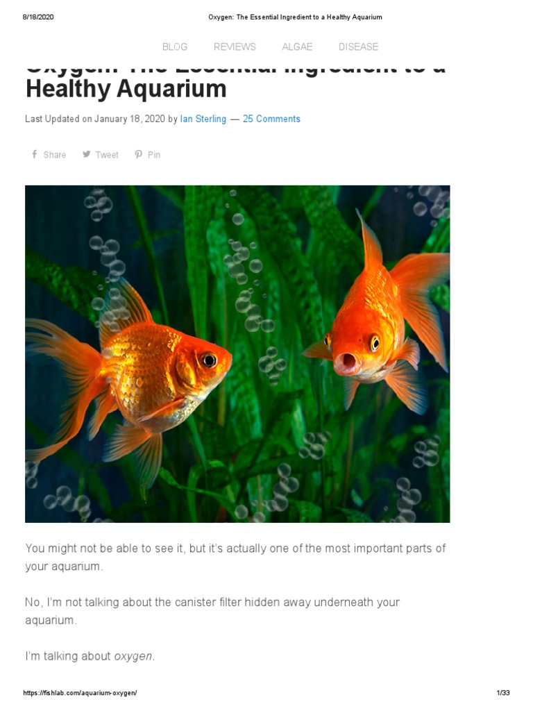 Oxygen The Essential Ingredient To A Healthy Aquarium PDF