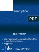 Transcription Lecture