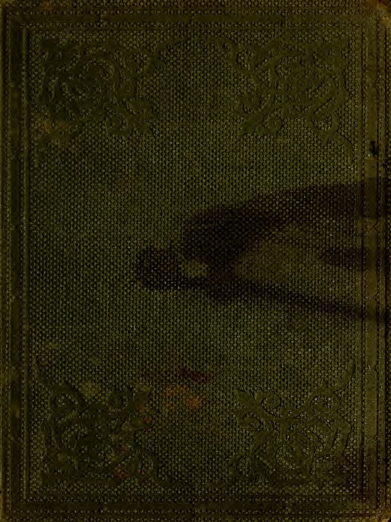 To be used for the 12 pubs Instagram post!🍷🍸🥃 #seanfhocailanlae #se... |  TikTok, image size:768x1024