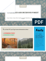 Class 9 Social Project Evergreen and Deciduous Forest