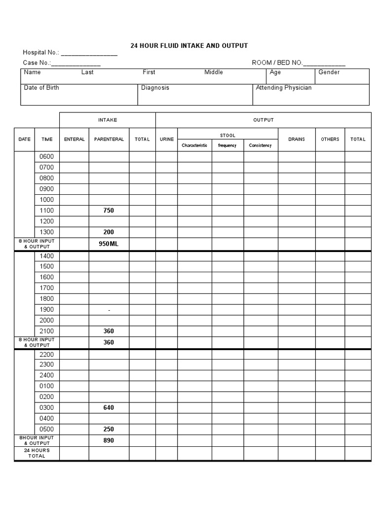 24 Hour Intake and Output 013 PDF