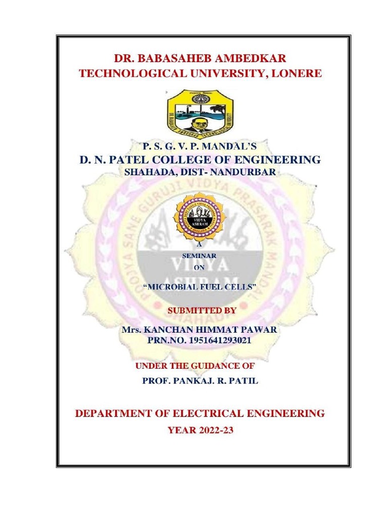 19 (Microbial Fuel Cell) Report PDF