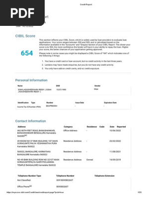 Credit Report