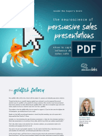 IBB Persuasive Presentations Report