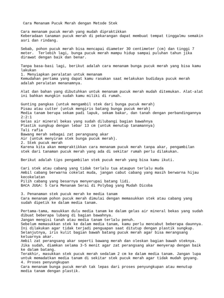 Penanaman Pohon Pucuk Merah di Lokasi Bekas PKL