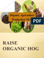 Raise Organic Hogs