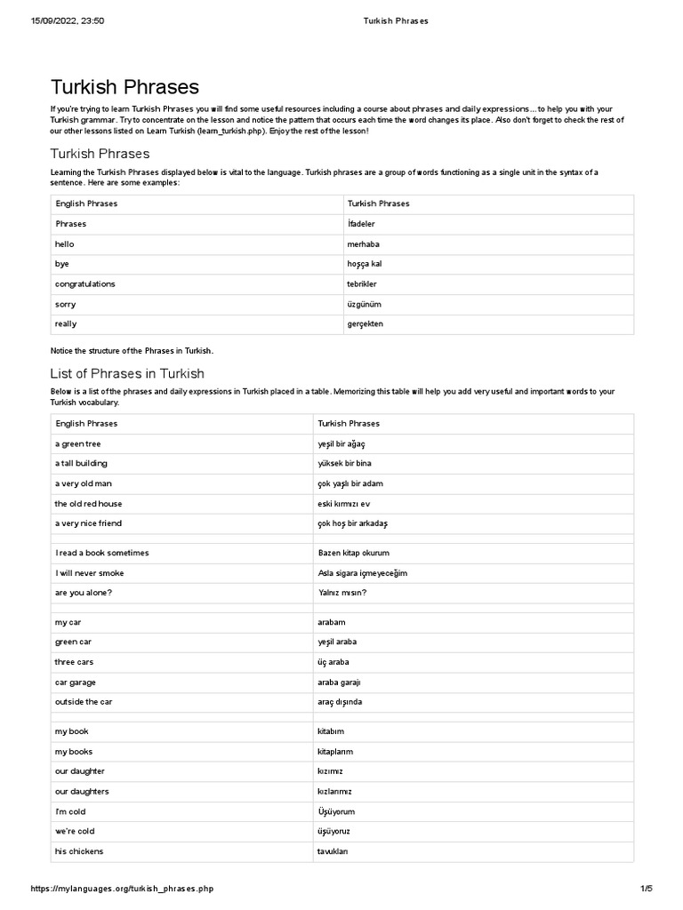 Beginner Turkish Language Basics: An Introduction Plus 60 Must-Know Basic Phrases With Audio Pronunciation visual data 5