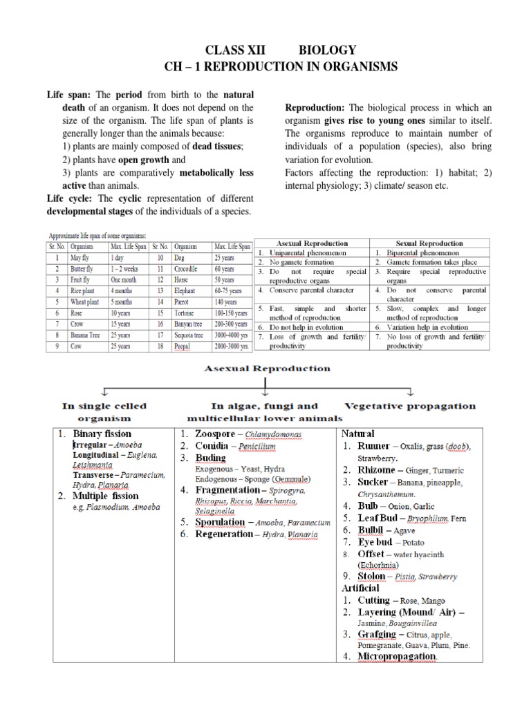 CH 1 XII BIO Notes Reproduction in Organisms | PDF | Reproduction ...