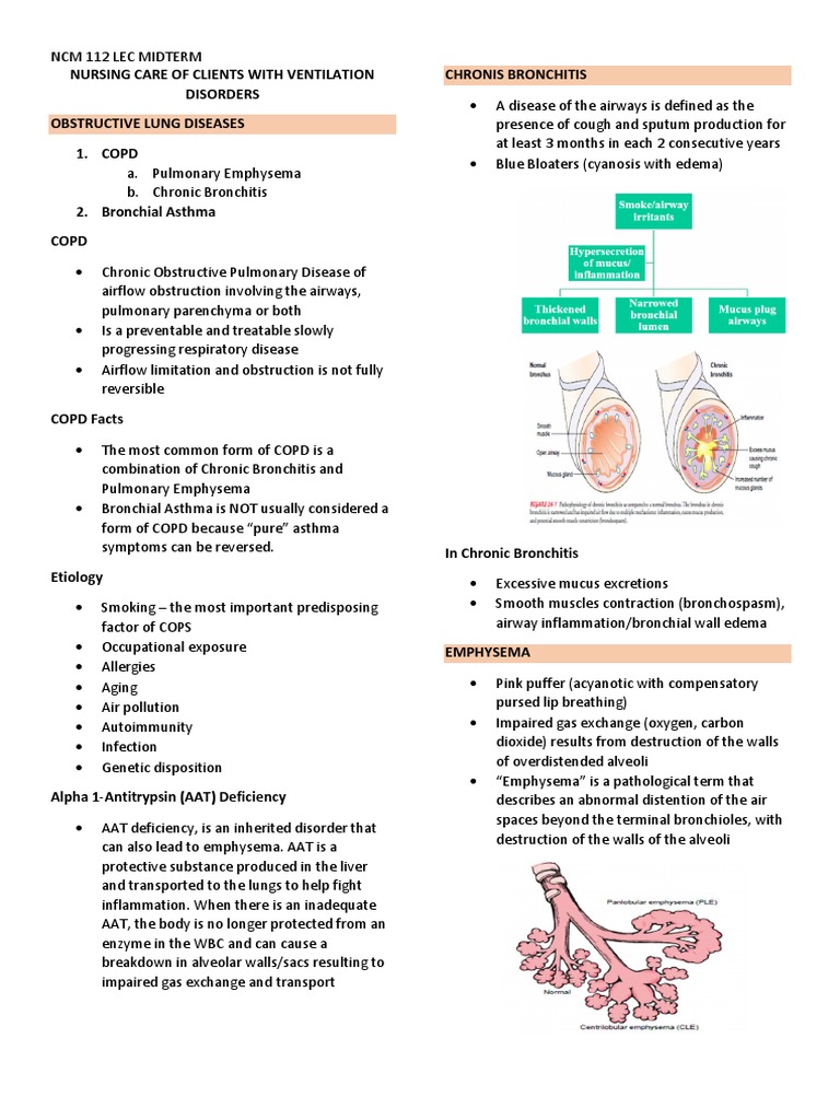 Key Nursing Diagnosis for Emphysema | PDF | Chronic Obstructive ...