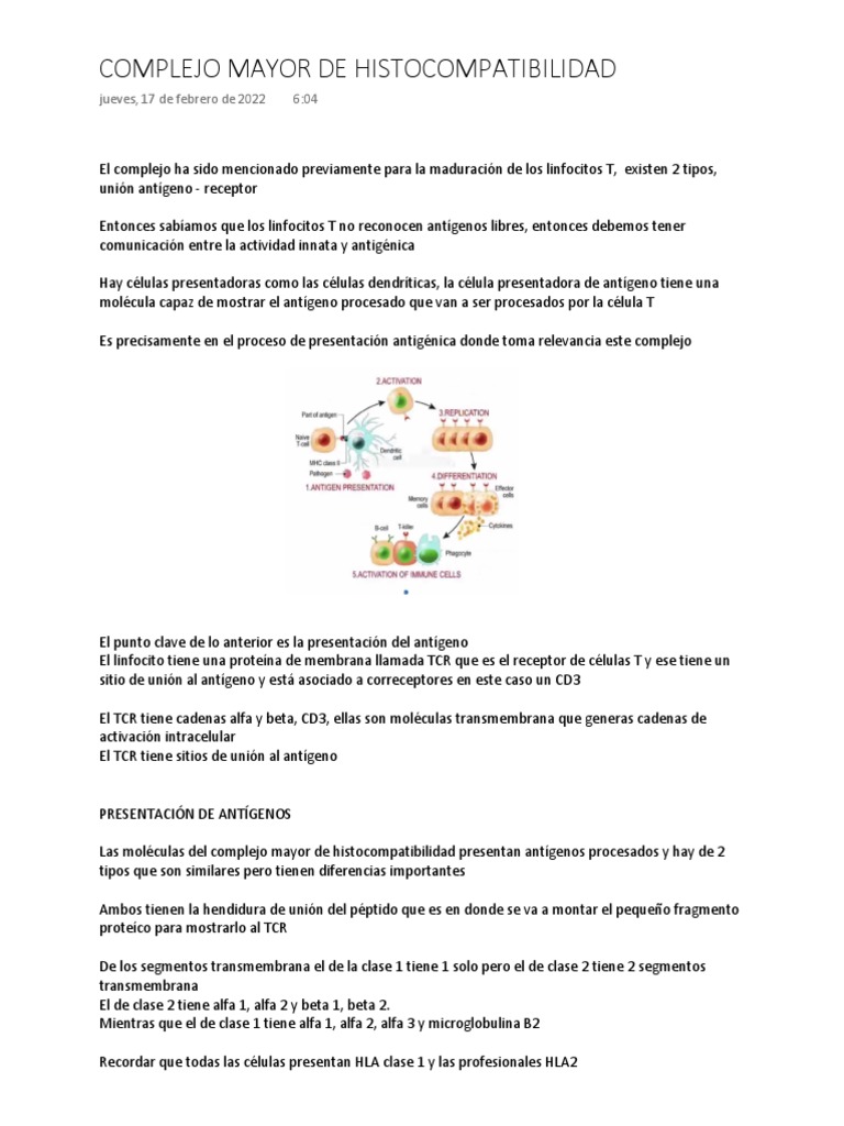 Complejo Mayor de PDF