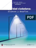 Alcances y Desafios de La Seguridad Ciud