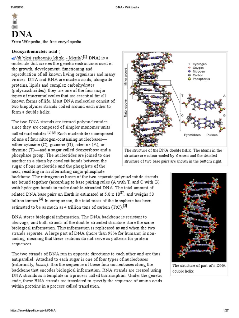 dna ウィキペディア – dna 正式名称 – KBOUG