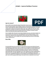 Sumatif Interdisiplin - Laporan Budidaya Tanaman