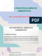 Principios Jurídicos Ambientales