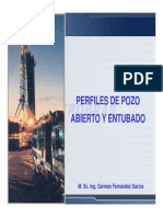 Perfiles de Pozo Abierto y Entubado-1