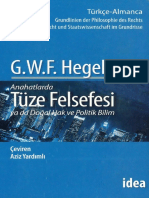 Hegel - Tüze Felsefesi