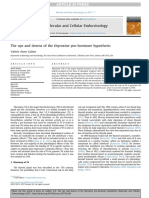 The Ups and Downs of The Thyroxine Pro-Hormone Hypothesis