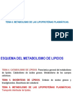 Tema 6. Metabolismo de Las Lipoproteínas Plasmaticas