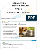 Diapositivas Tarea 4 Nutricion