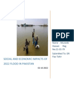 Social and Economic Effect of Foold In2022 in Pakistan