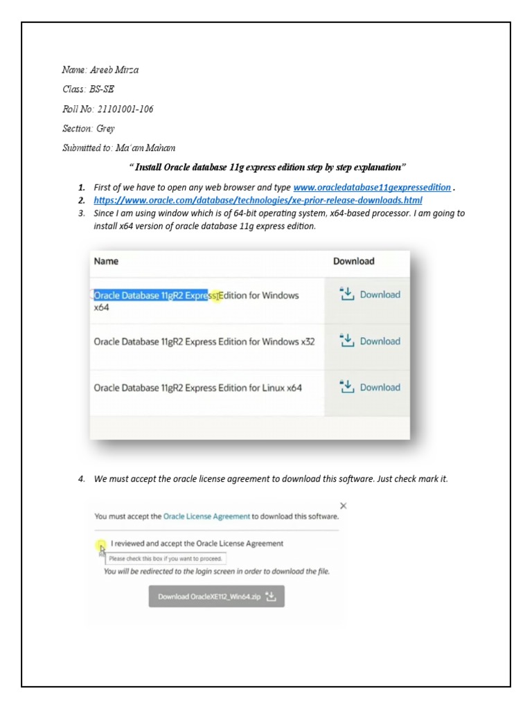 Step-by-Step Oracle 11g Installation Guide | PDF | Internet & Web ...