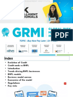 BNPL Model PDF