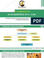An Overview of NUB SHIPPEX PVT. LTD