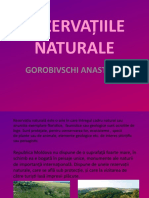 Rezervatii Naturale