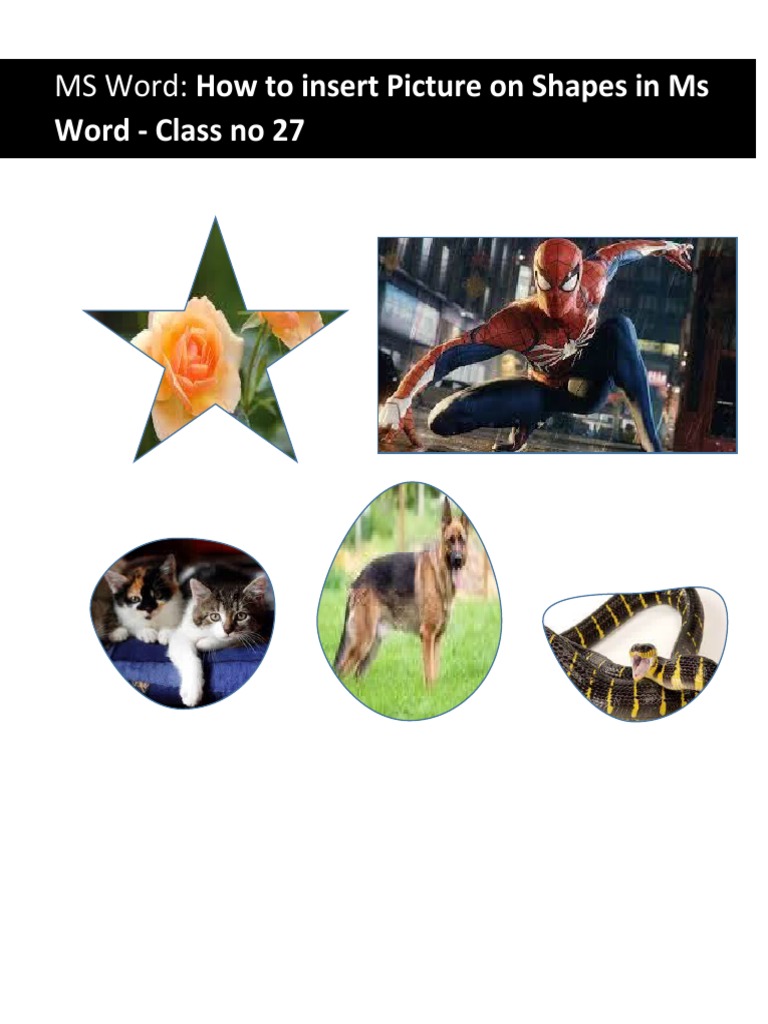 MS Word Project 27 | PDF