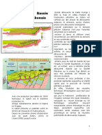 Bassin Sedimentaire Gabonais