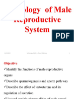Physiology of Male Reproductive System: 1 12/26/2022 by Mebratu.D (MSC in Clinical Midwifery)